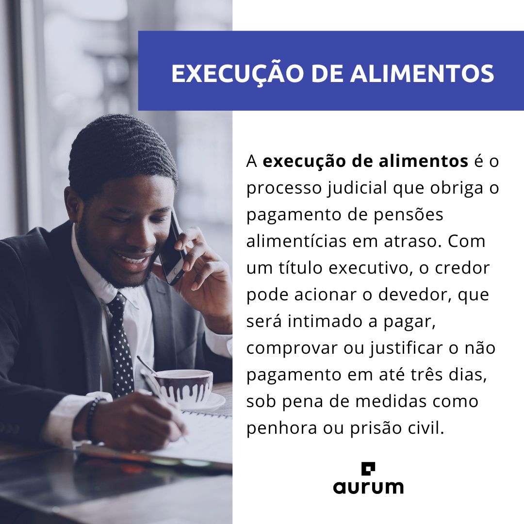 Entenda como funciona o processo de execução de alimentos