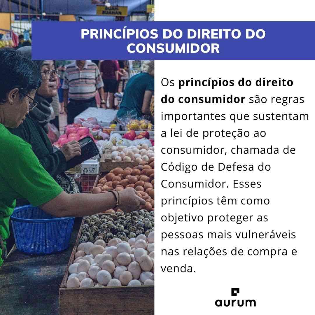 Entenda quais são os princípios do direito do consumidor