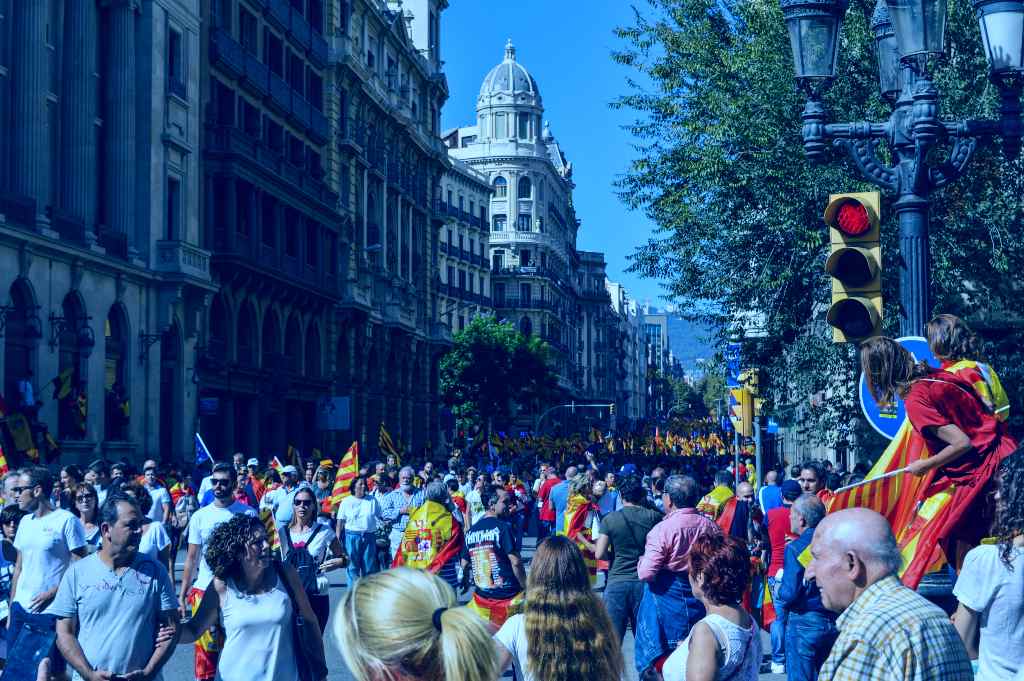 Entenda o que é direito à manifestação