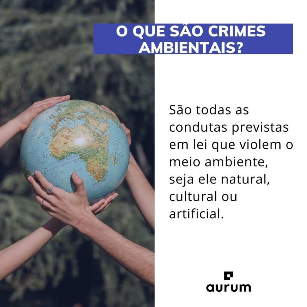 O que são crimes ambientais? Conheça mais sobre a Lei