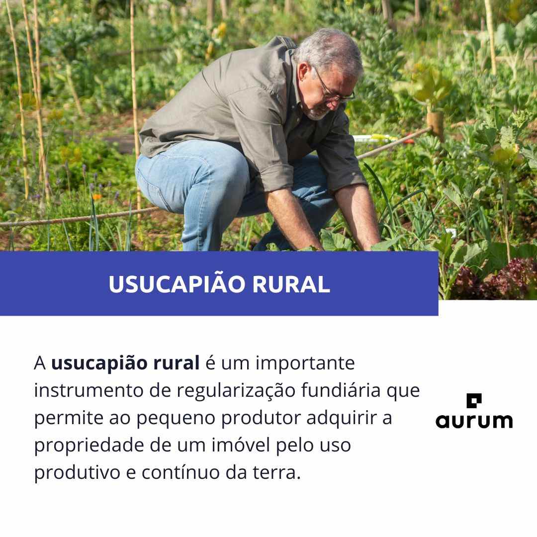 Entenda o que é usucapião rural