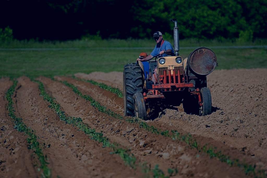 Entenda como funciona a usucapião rural