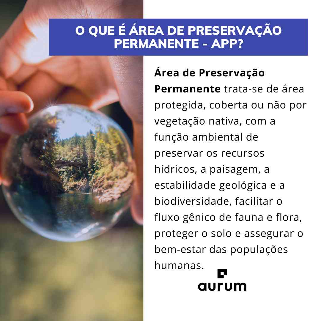 Entenda o que diz a lei sobre Áreas de Preservação Permanente