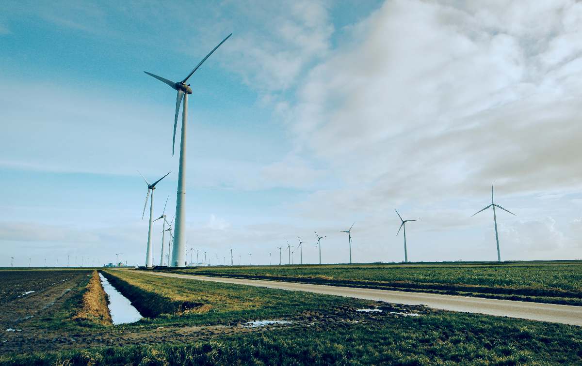 Confira o que diz a política nacional do meio ambiente